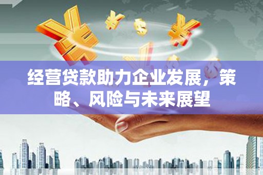 狮子经营贷款助力企业发展，策略、风险与未来展望