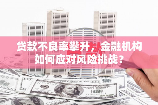 普格贷款不良率攀升，金融机构如何应对风险挑战？