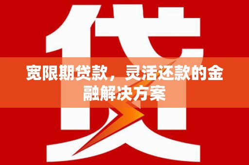 纳雍宽限期贷款，灵活还款的金融解决方案
