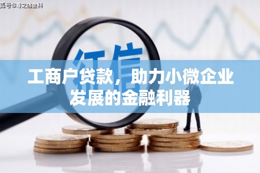 七星工商户贷款，助力小微企业发展的金融利器