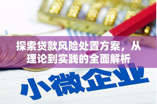永嘉探索贷款风险处置方案，从理论到实践的全面解析