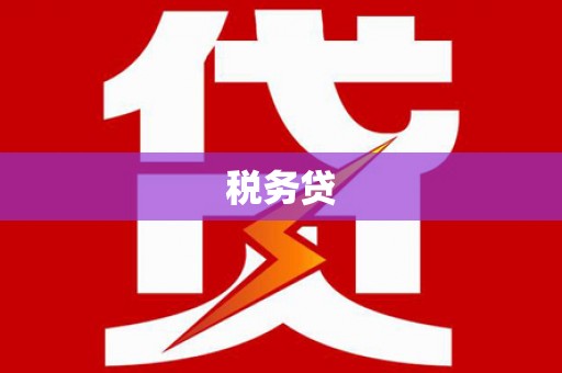 苍梧税务贷