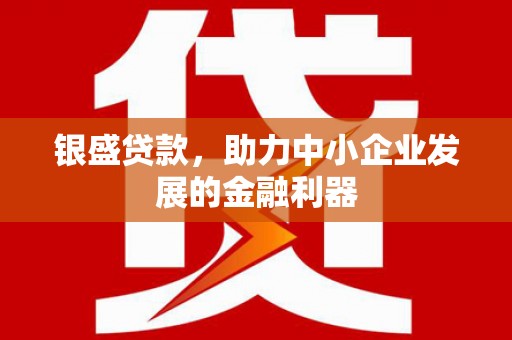 盖州银盛贷款，助力中小企业发展的金融利器