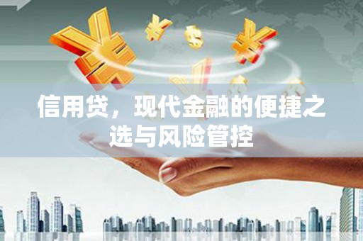 磐石信用贷，现代金融的便捷之选与风险管控