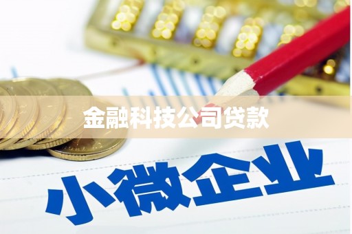眉县金融科技公司贷款