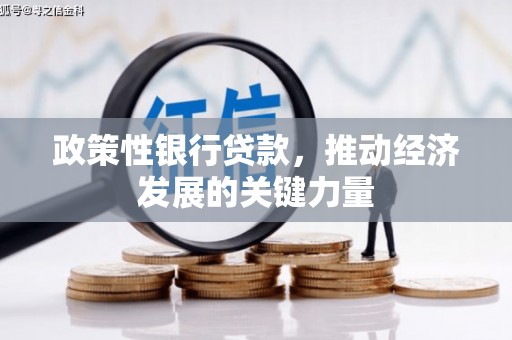 台北政策性银行贷款，推动经济发展的关键力量