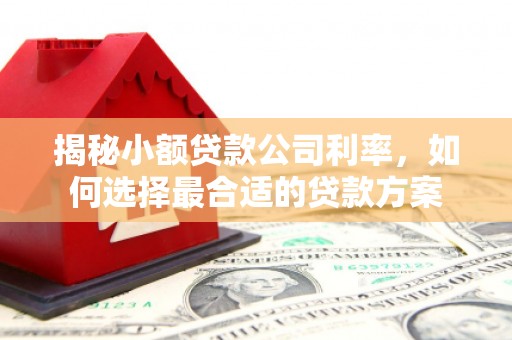 石棉揭秘小额贷款公司利率，如何选择最合适的贷款方案