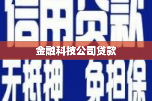 张家川金融科技公司贷款