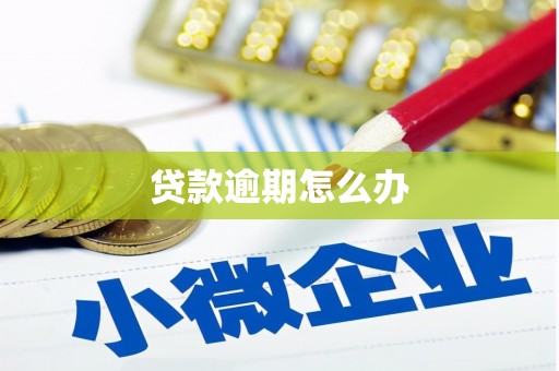 望江贷款逾期怎么办