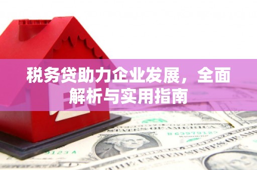 黄大仙税务贷助力企业发展，全面解析与实用指南