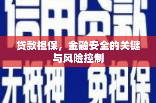 林园贷款担保，金融安全的关键与风险控制
