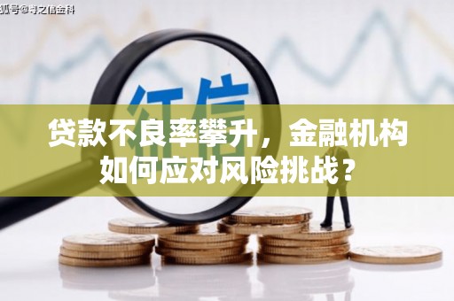 盐山贷款不良率攀升，金融机构如何应对风险挑战？