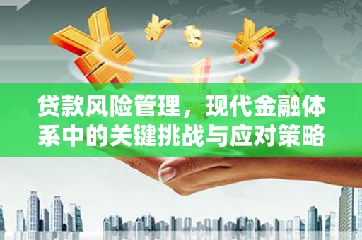 仑背贷款风险管理，现代金融体系中的关键挑战与应对策略