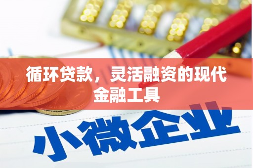 桦川循环贷款，灵活融资的现代金融工具