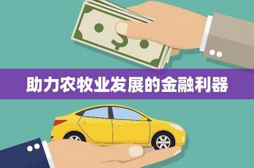 三湾助力农牧业发展的金融利器