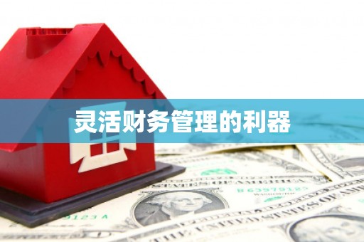 广东灵活财务管理的利器