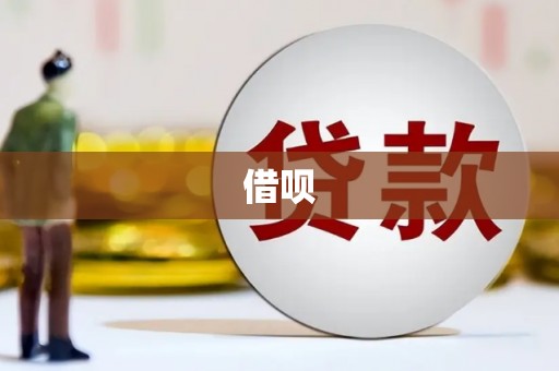 光泽借呗