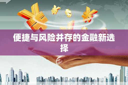 平度便捷与风险并存的金融新选择