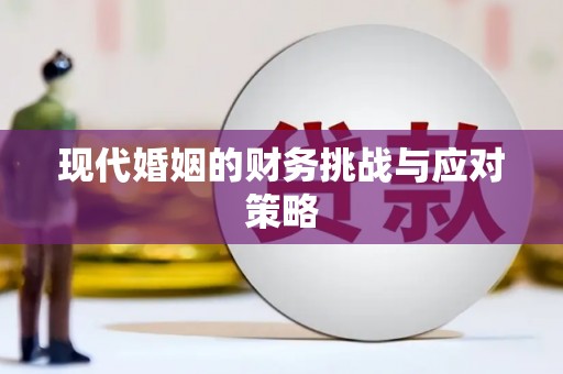 长滨现代婚姻的财务挑战与应对策略