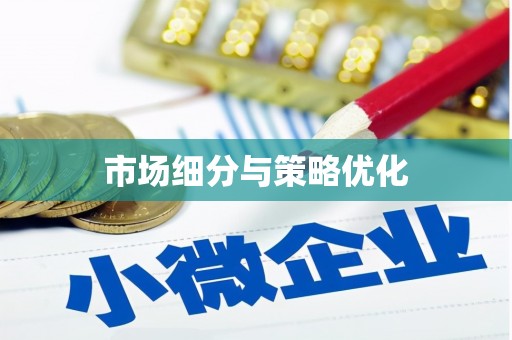岳麓市场细分与策略优化