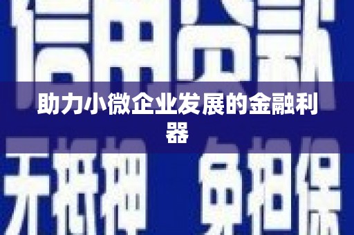 独山助力小微企业发展的金融利器