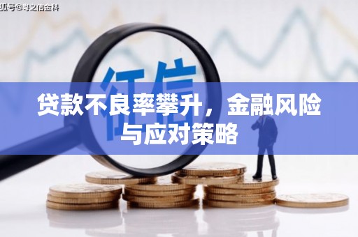 溧阳贷款不良率攀升，金融风险与应对策略